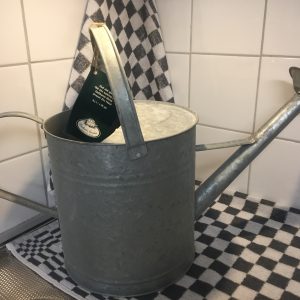 Gieter Zink
